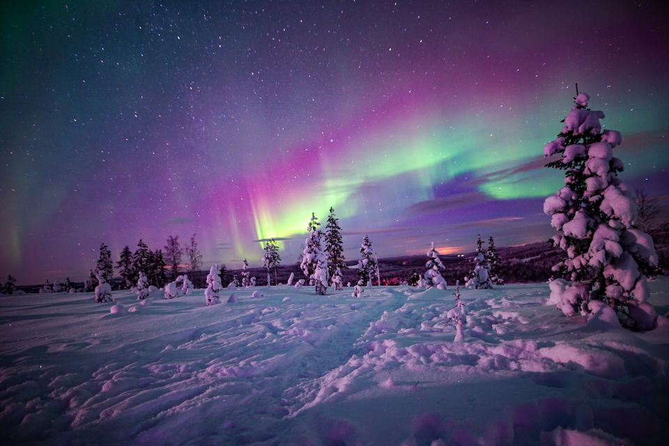 Rovaniemi: Northern Lights Snowmobile Sledge Ride - Experience Highlights