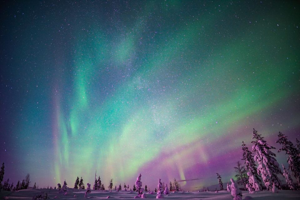 Rovaniemi: Northern Lights Snowmobile Tour - Experience Highlights