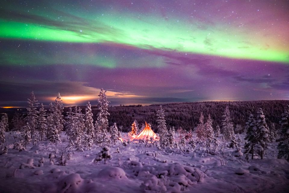 Rovaniemi: Northern Lights Wilderness Tour With Camera - Experience Highlights