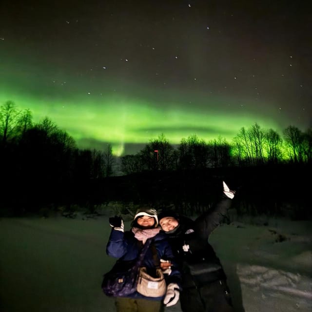 Rovaniemi: Private Aurora Borealis Car Tour With Hot Drinks - Pricing Details