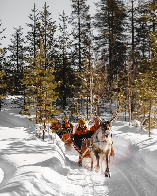 Rovaniemi: Pure Christmas Joy Half-Day Tour - Pricing and Duration