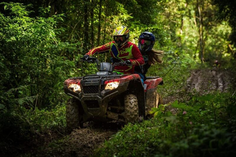Rovaniemi: Quad Bike Wilderness Safari - Pricing Information