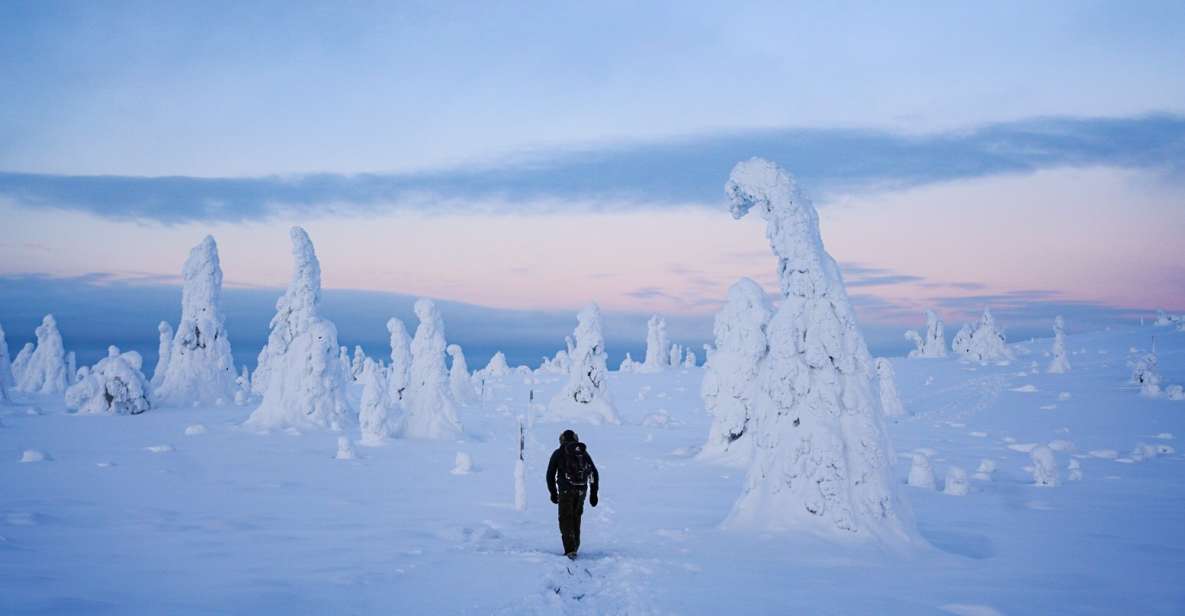 Rovaniemi: Riisitunturi National Park Day Trip With Lunch - Itinerary Highlights