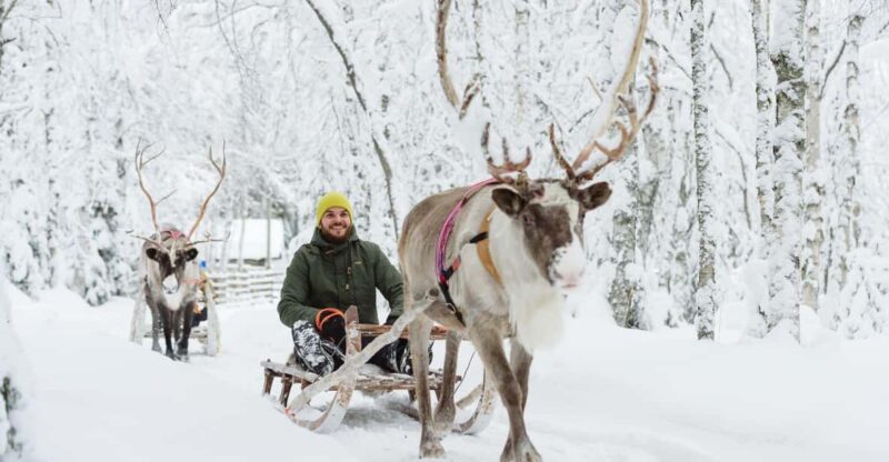 Rovaniemi: Saami Reindeer Farm Visit & Sleigh Ride - Experience Highlights