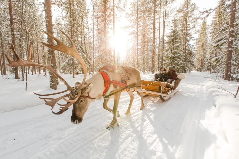 Rovaniemi: Santa Claus, Husky & Reindeer Sled Ride - Booking Information