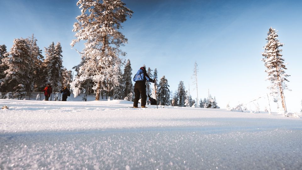 Rovaniemi: Ski Trekking Safari in Lapland - Key Experience Highlights