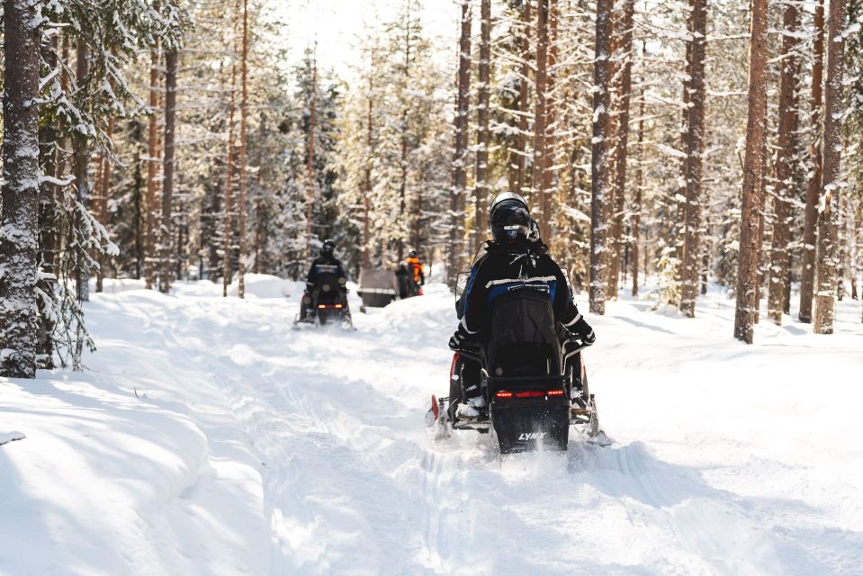 Rovaniemi: Snowmobile Safari Into the Arctic Circle Forest - Booking Your Adventure