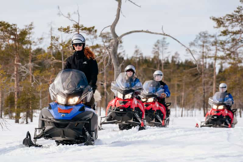 Rovaniemi: Snowmobile Safari Into the Wilderness - Highlights of the Experience