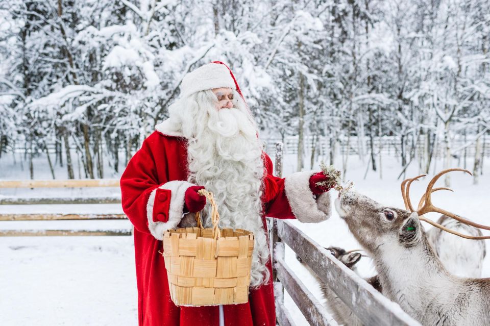 Rovaniemi: Trip to Santa Claus Village With Hotel Transfer - Experience Highlights