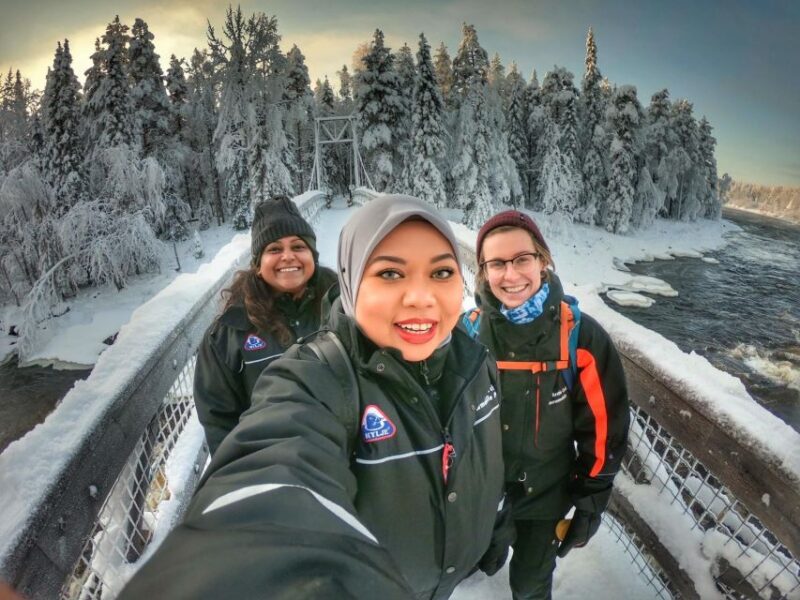 Rovaniemi: Vaattunki Hiking Arctic Circle Trail - What to Expect on the Trail