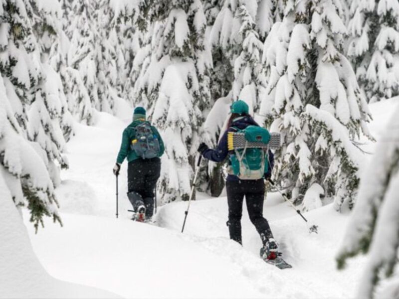 Rovaniemi: Wilderness Snowshoes Expedition Tour & Barbeque - What to Expect