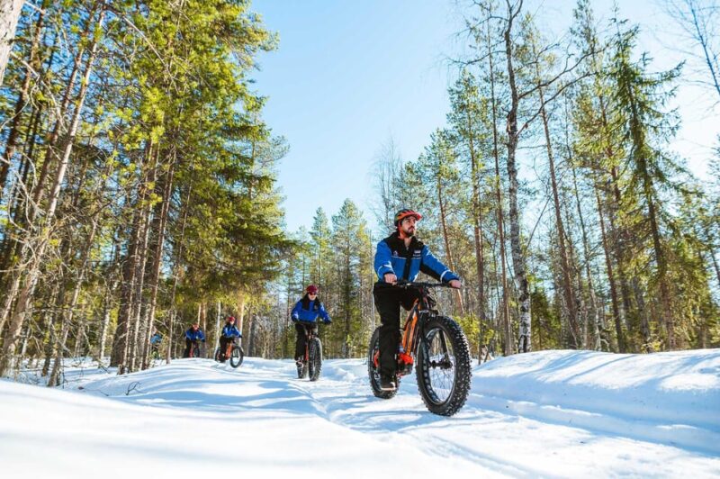 Rovaniemi: Winter Efatbike Tour in Snowy Forest - Experience Highlights