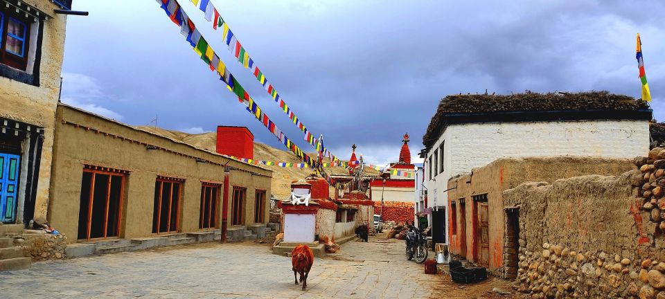 Royal Mustang Trek - Highlights and Experiences