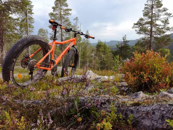 Ruka : Into the Forest With Fatbikes - Booking and Reservation Process