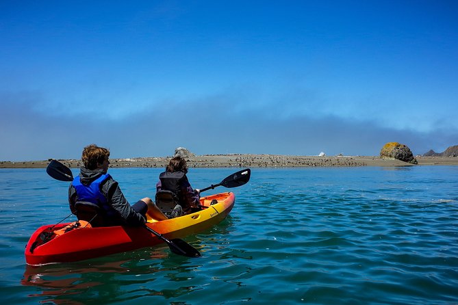 Russian River Kayak Tour at the Beautiful Sonoma Coast - Tour Inclusions and Amenities