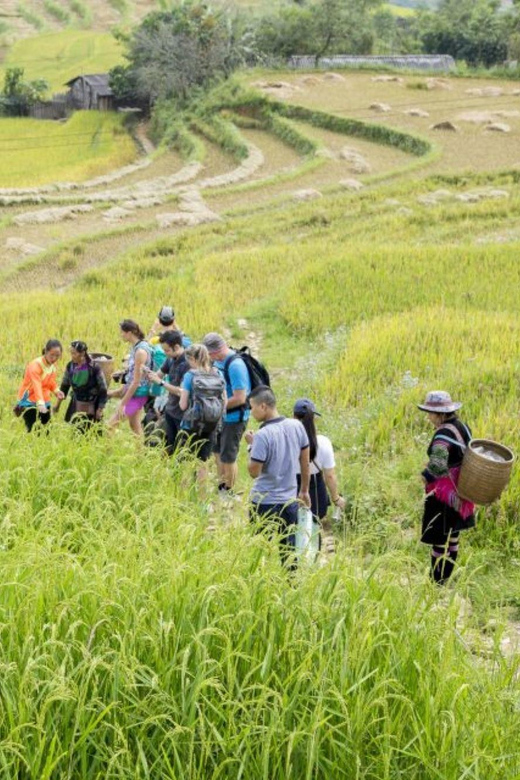 Sa Pa: Muong Hoa Valley Trek and Local Ethnic Villages Tour - Itinerary Highlights