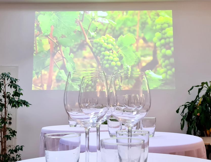 Saarbrücken: Organic Wine Tasting the Precious Way - Booking Information