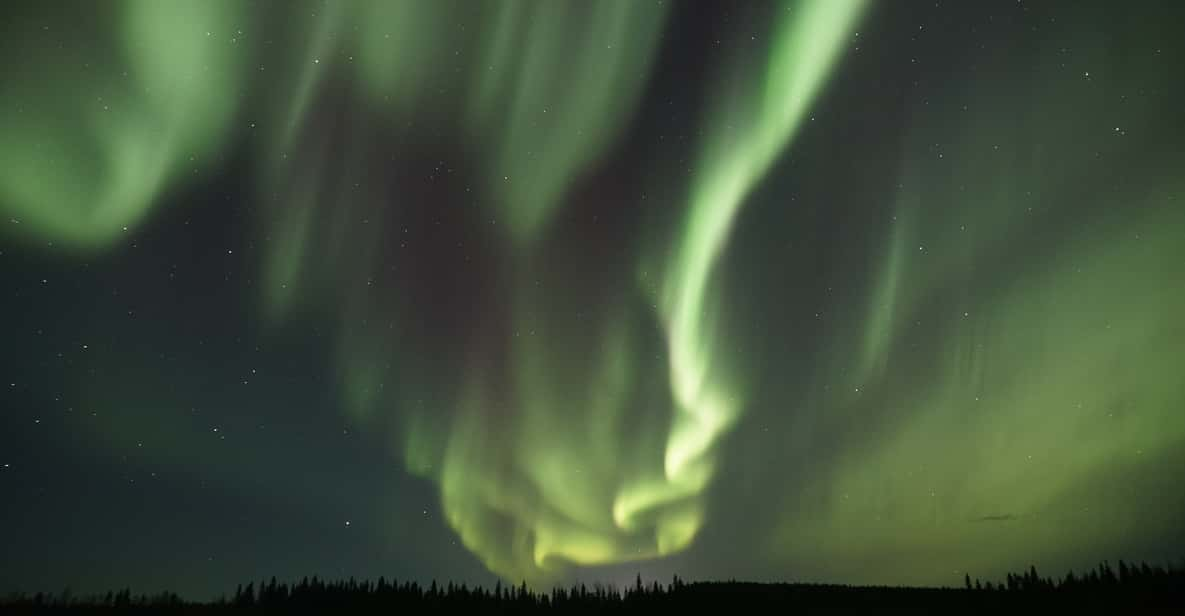 Saariselkä: Aurora Photo Tour by Car With Transfer & Drinks - Booking Information