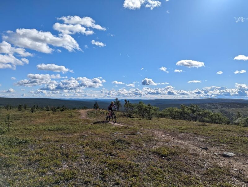 Saariselkä: Flow Trails and Rock Gardens Mountain Bike Tour - Experience Highlights