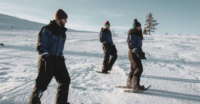 Saariselkä: Scenic Snowshoe Safari - Highlights of the Experience