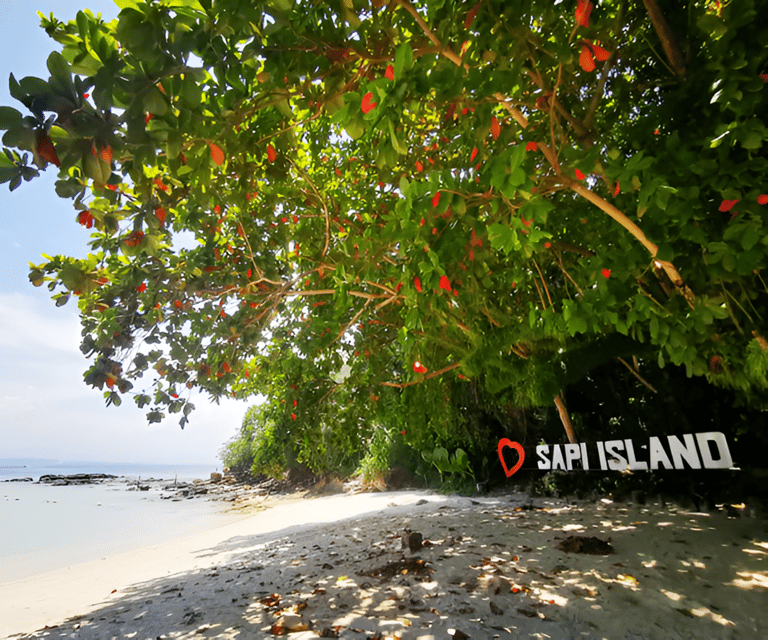 Sabah: Manukan and Sapi Islands Excursion Ticket - Highlights and Experiences