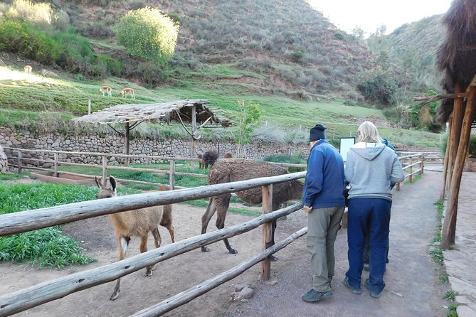 Sacred Valley Tour From Either Urubamba or Ollantaytambo - Included Tour Offerings