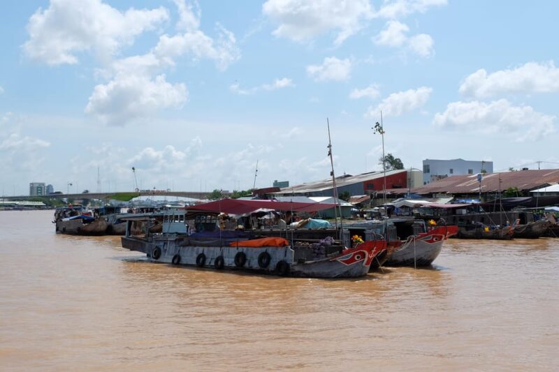 Saigon: Hightlights in Authentic Mekong Delta - 2D1N Tour - Included Services and Amenities