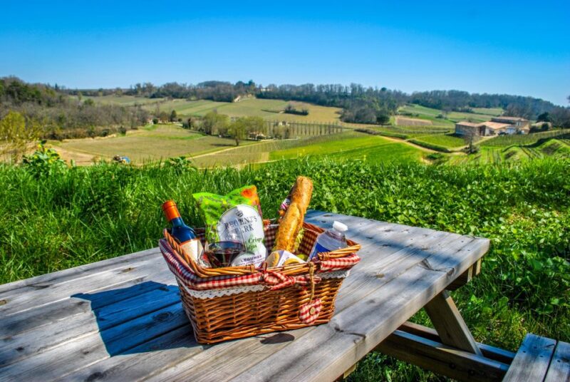 Saint-Emilion: Grand Cru Classé Guided Winery Visit & Picnic - Experience Highlights