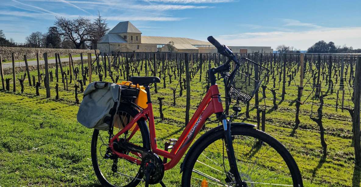 Saint Emilion Half Day Ebike and Wine Tour With Picnic - Experience Highlights