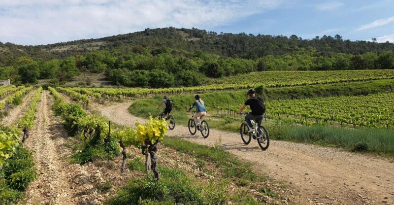 Saint-Martin-dArdèche: Electric Bike Wine Tour & Tasting - Tour Details