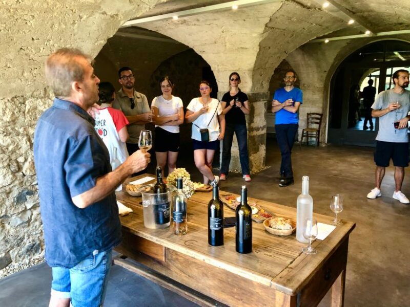 Saint Montan: Electric Bike Wine Tour & Tasting - Experience Highlights