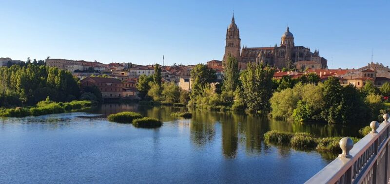 Salamanca: Private Sightseeing & Cultural Walking Tour - Tour Highlights and Experience