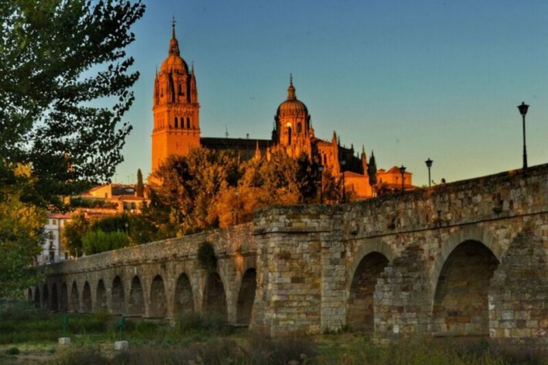 Salamanca: Private Walking Tour With a Local Guide - Customization and Experience