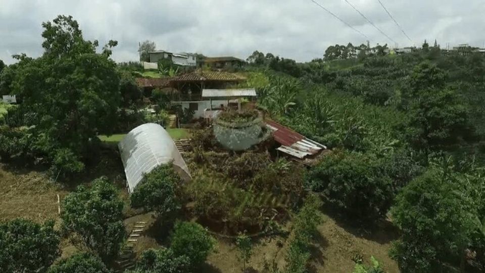 Salento and Cócora Tour Coffee Farm From Pereira/Armenia - Highlights of the Experience