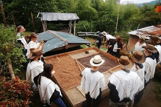 Salento and Cócora Tour Plus Coffee Farm From Pereira or Armenia - Itinerary Highlights
