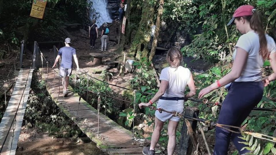 Salento, Cocora Santa Rita Waterfall From Pereira/Armenia - Unique Cultural Experiences