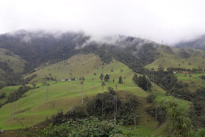 Salento Cocora Valley and Filandia - Location and Reviews