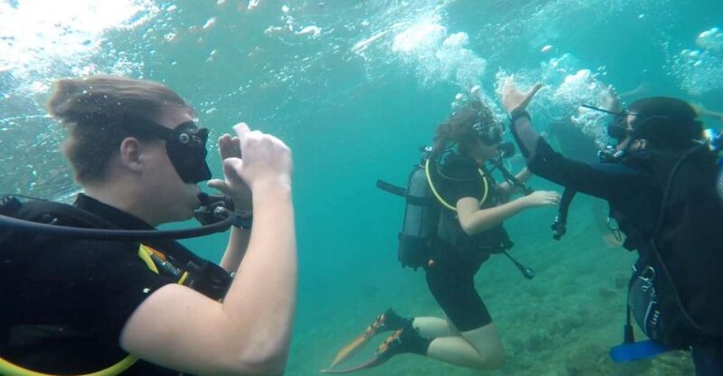 Salou: Scuba Diving - Pricing and Availability