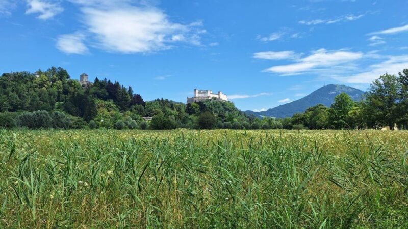 Salzburg: Nature and Culture on Two Wheels - Language Options Available