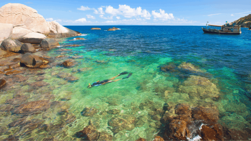 Samui Koh Tao & Koh Nang Yuan One Day Tour By Speed Boat - Experience Highlights