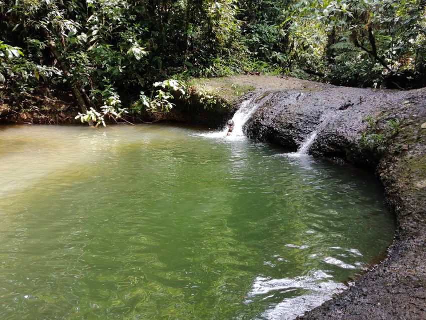 San Cipriano Rainforest Reserve: Amazing Day Trip - Getting There