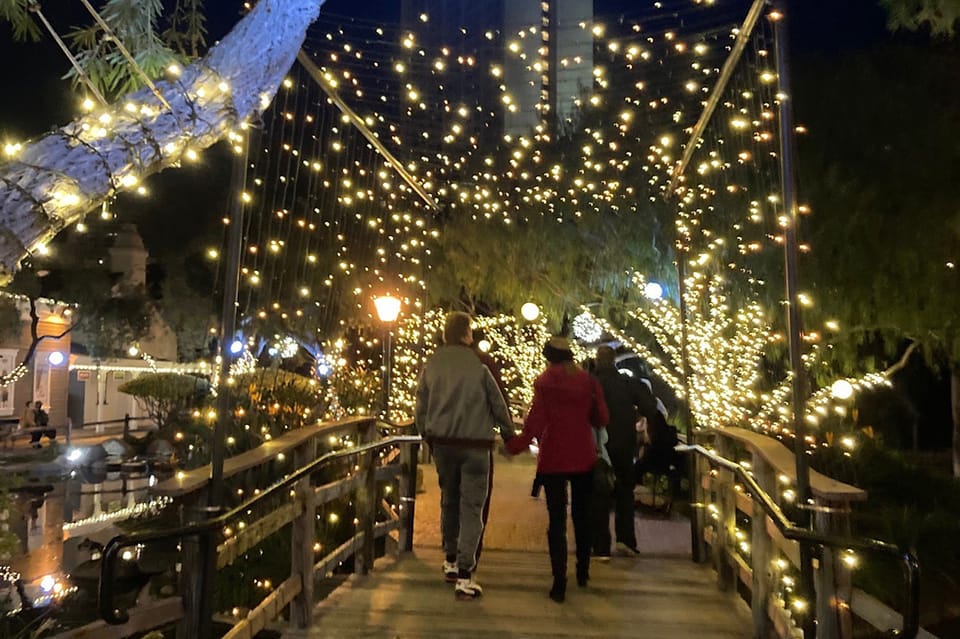 San Diego: Holiday Lights and Sights Trolley Tour - Experience Highlights