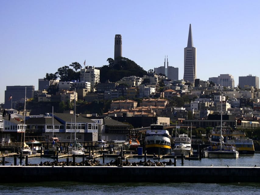 San Francisco: Hop-On Hop-Off City Bus Tour and Bay Cruise - Experience Highlights