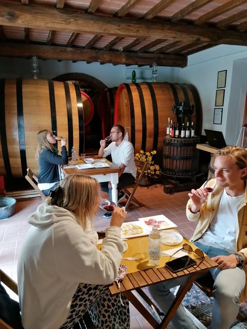 San Gimignano: Wines and Oil Tasting With Vineyards Tour - Highlights of the Experience