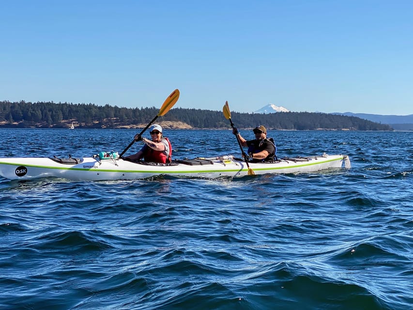 San Juan Island: Full Day Kayaking Tour - Pricing and Cancellation Policy