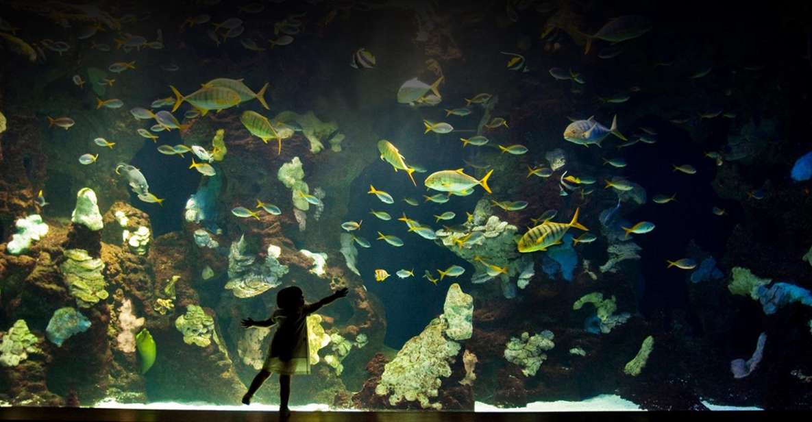 San Sebastian Aquarium Entry Ticket and City Walking Tour - Itinerary Details