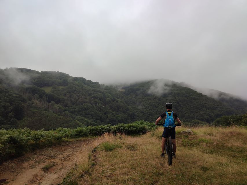 San Sebastian: Mountain Bike Tour With Pintxos and Drink - Experience Highlights