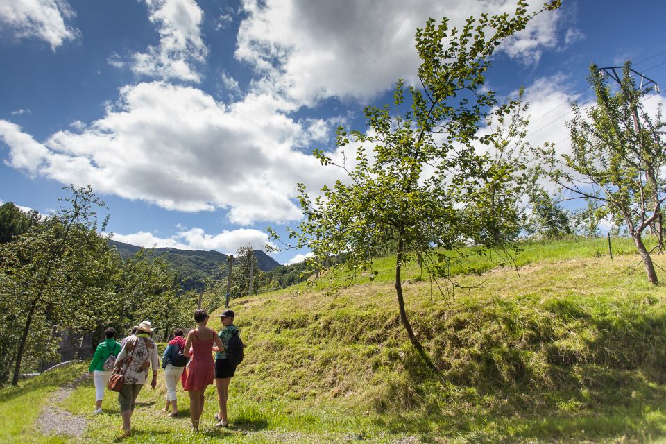 San Sebastián: Traditional Cider House Tour With Lunch - Experience Highlights