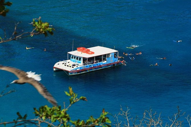 Sancho Bay Swim From Fernando De Noronha - Activities and Inclusions