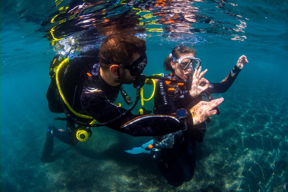 Santa Cruz De Tenerife: Beginners Diving & Introduction - Dive Experience Details